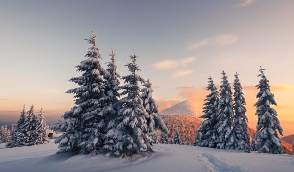 年末年始休業のお知らせ